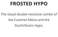 FROSTED HYPO The visual double recessive combo of the Caramel Albino and the Dutch/Evans Hypo.